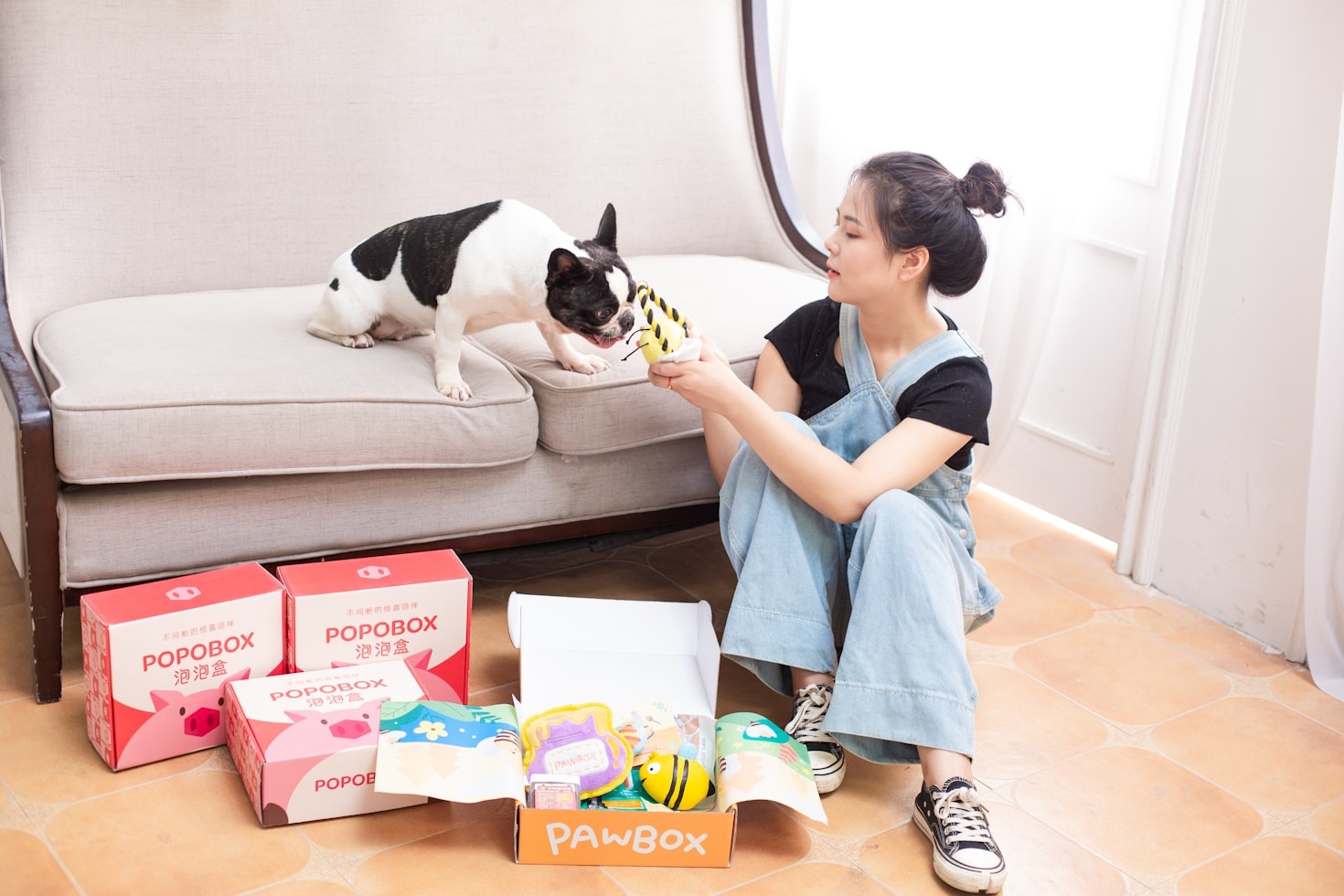 Why French Bulldogs Make the Perfect Companion